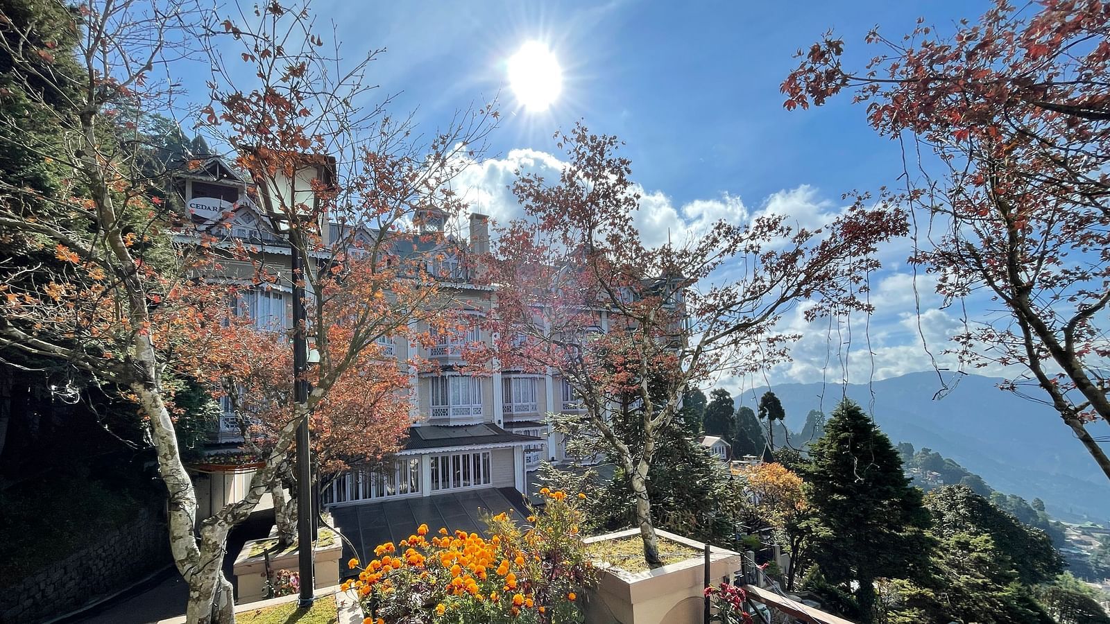 A bright day at Cedar Inn, Darjeeling, with flowers, trees in autumn bloom, and views of the distant mountains.