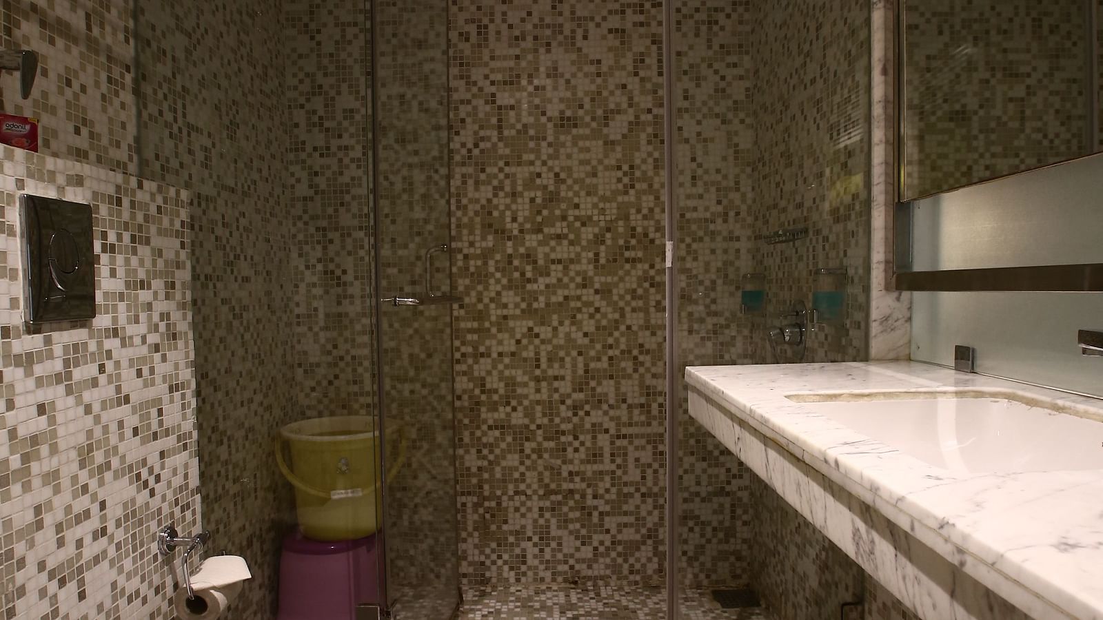 IMG 0586
