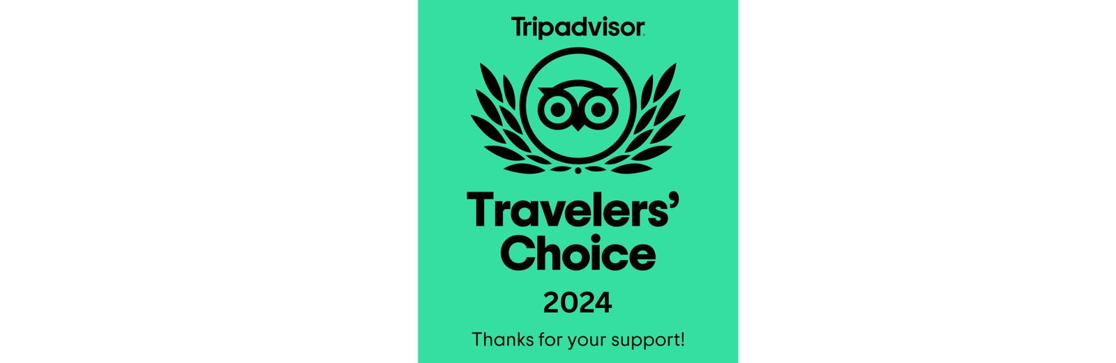 trip advisor award