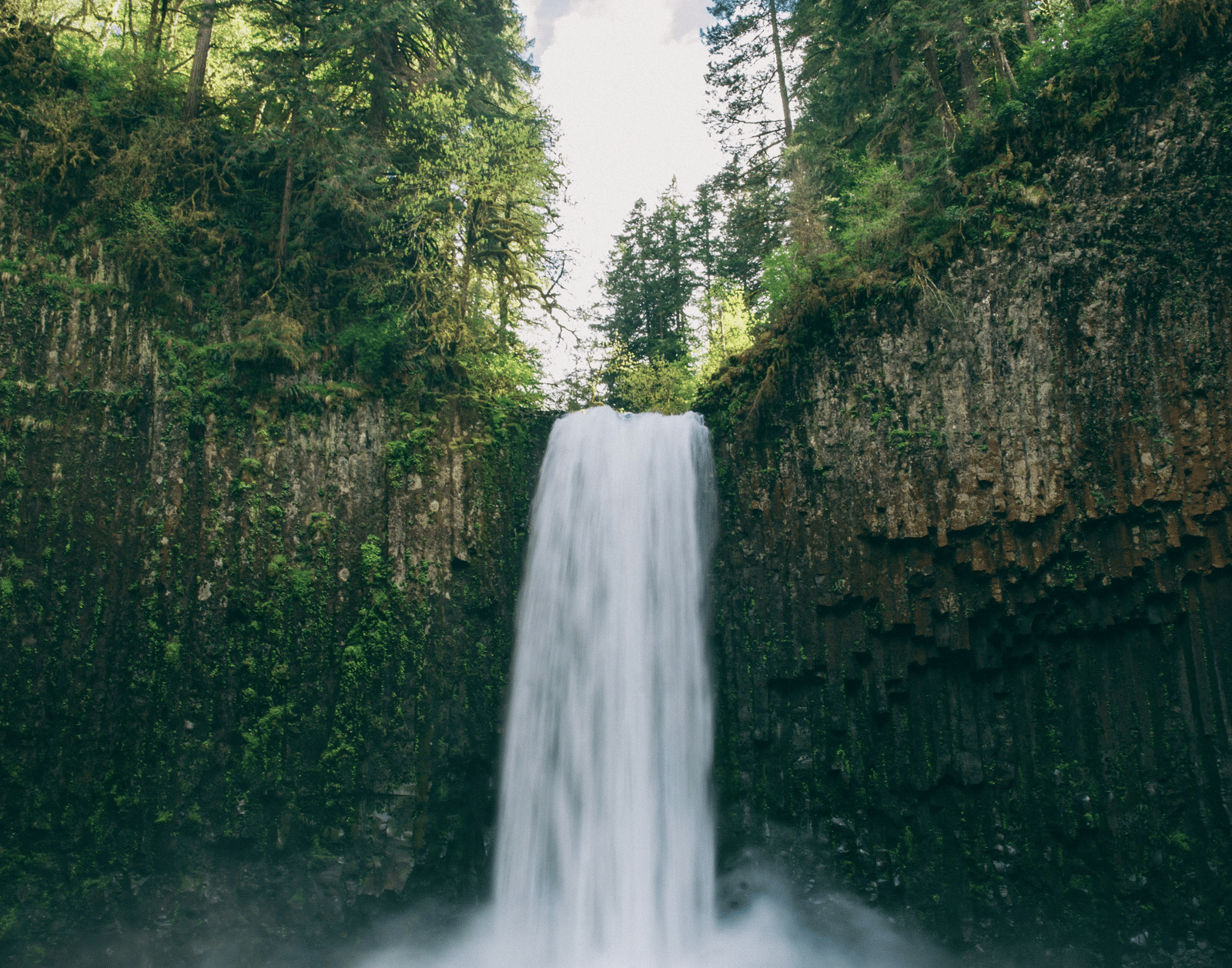 Striking waterfall cascading down a rock face into a pool below, surrounded by dense green vegetation and trees.