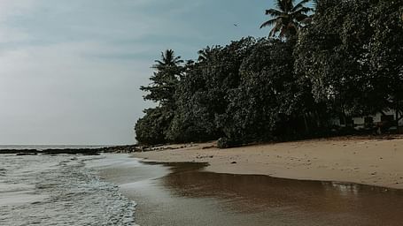 A sandy beach that's one of the best places to visit in Kakinada, with ocean waves on the left and dense trees on the right under a clear sky.