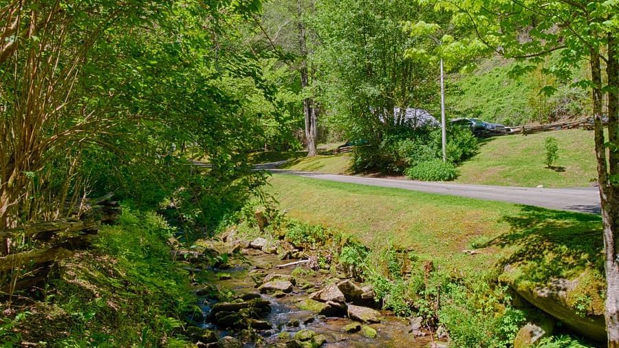 a beautiful creak with a small stream flowing in between the lush green surroundings - Historic Tapoco Lodge