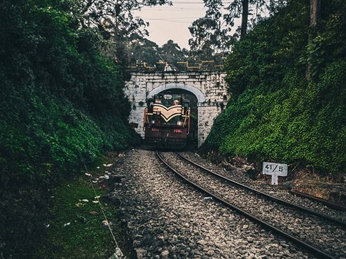 A far out view of Mettupalayam to Ooty train coming out of a bridge in Lovedale near Coimbatore, surrounded by trees.