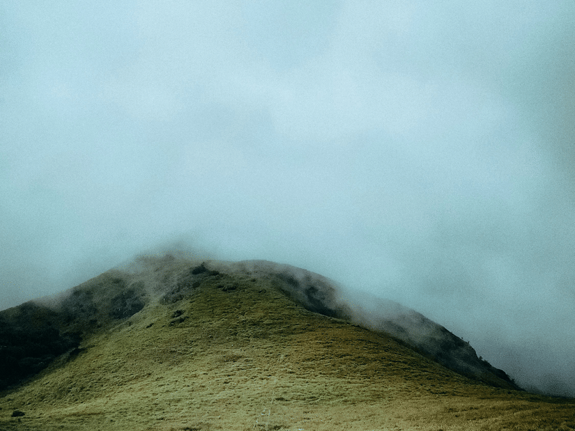 A view from Chembra Peak of mist covering the entire area and tall grass on the floor.
