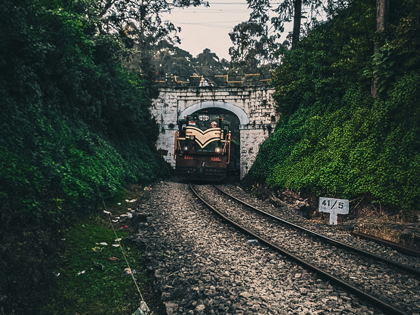 A far out view of Mettupalayam to Ooty train coming out of a bridge in Lovedale near Coimbatore, surrounded by trees.