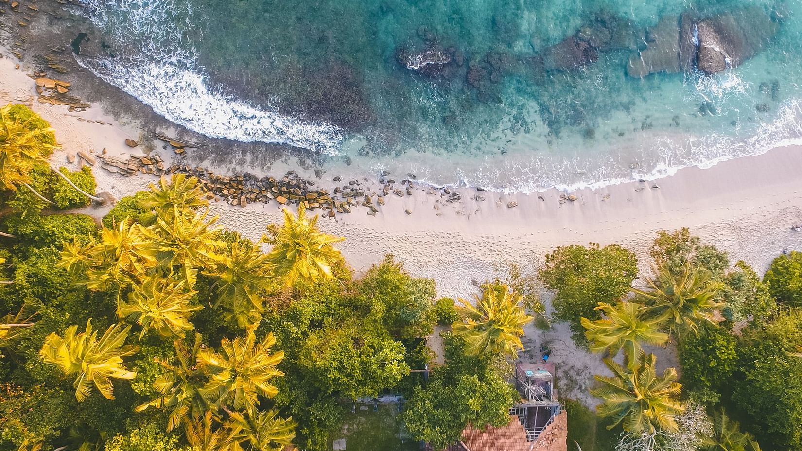 bird's eye view of a beach