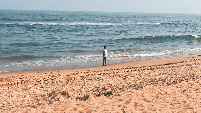 hotel near marina beach chennai