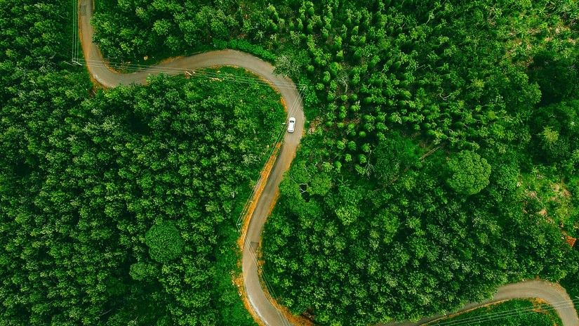 An aerial view of a car travelling on a winding road in-between trees in Kolli Hills