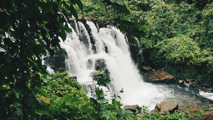 A panoramic shot of a waterfall gushing out surrounded by wild forest greenery with an overcast sky in the background.