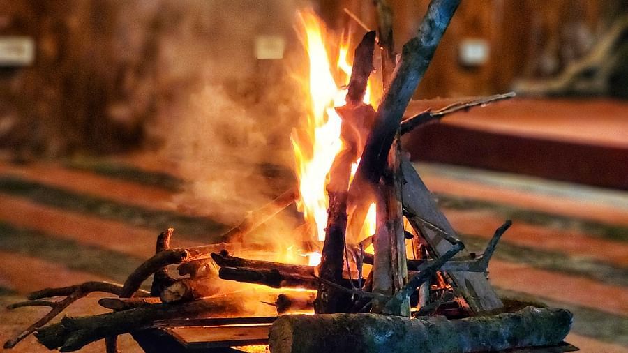 A campfire made with wooden sticks - Evergreen County