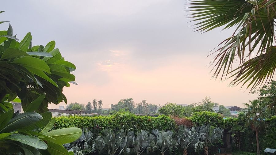 A view from the balcony of a Golden SUites Gurgaon building featuring a lawn surrounded by plants and trees 