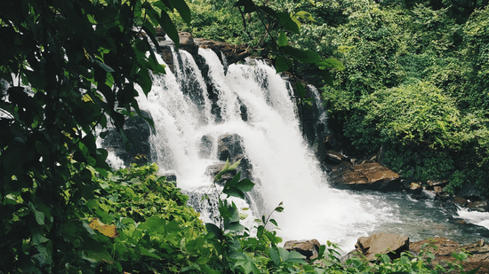 A panoramic shot of a waterfall gushing out surrounded by wild forest greenery with an overcast sky in the background.