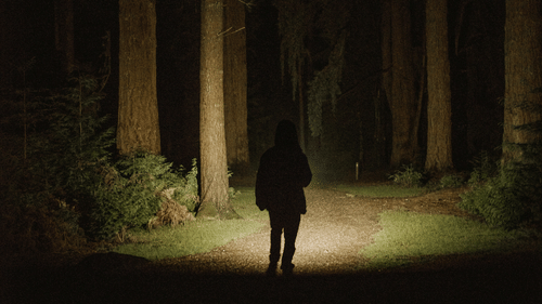 Silver Sand Hotels and Resorts - image of a man walking at night in the jungle