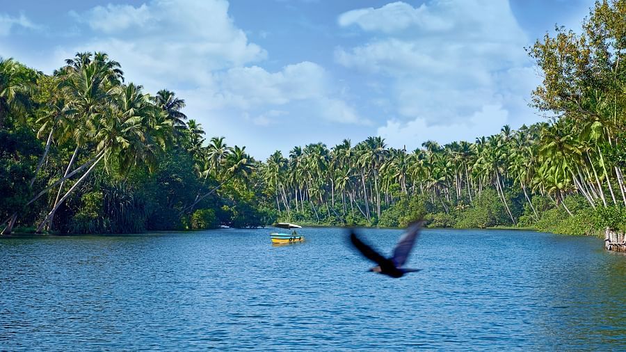 19-SAROVAR ENZ AKHIL BAKHSHI 102