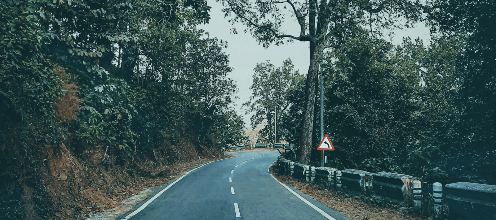shivansh-singh-T3pH4k0jz8g-unsplash