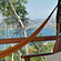The Studios at Solana Vacation Rental Zihuatanejo Ciruelo jr suite terrace Solana BandB Zihuatanejo Mexico