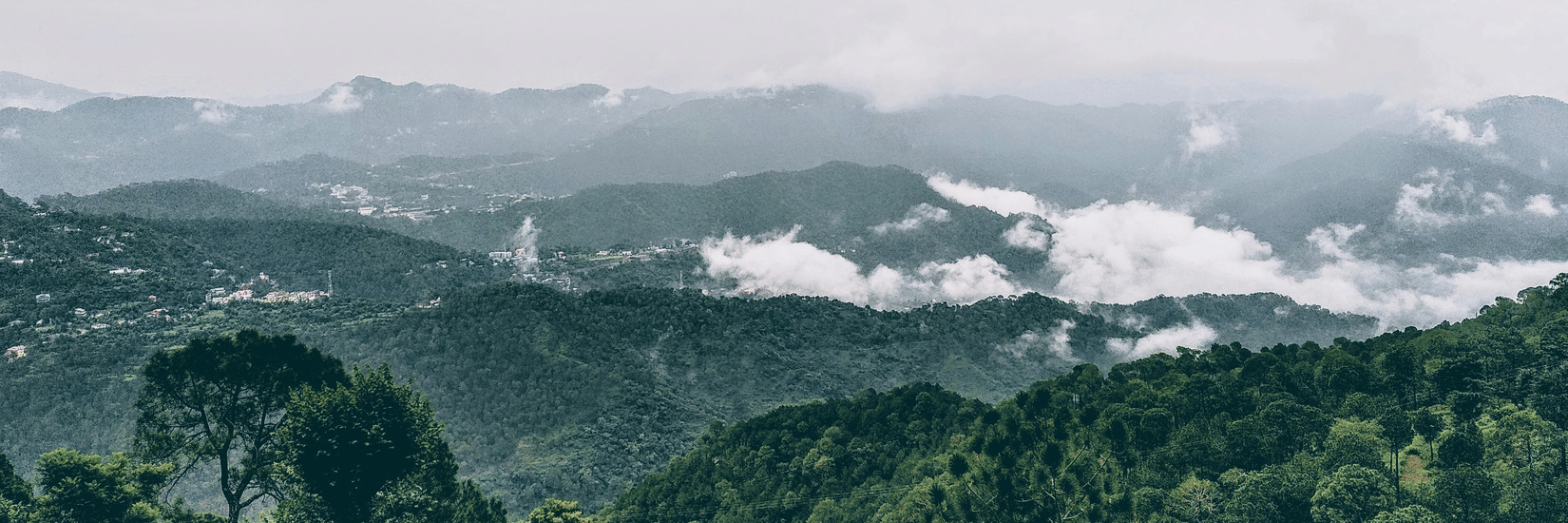 A view of mist-covered mountains and lush green forests on a cloudy day.