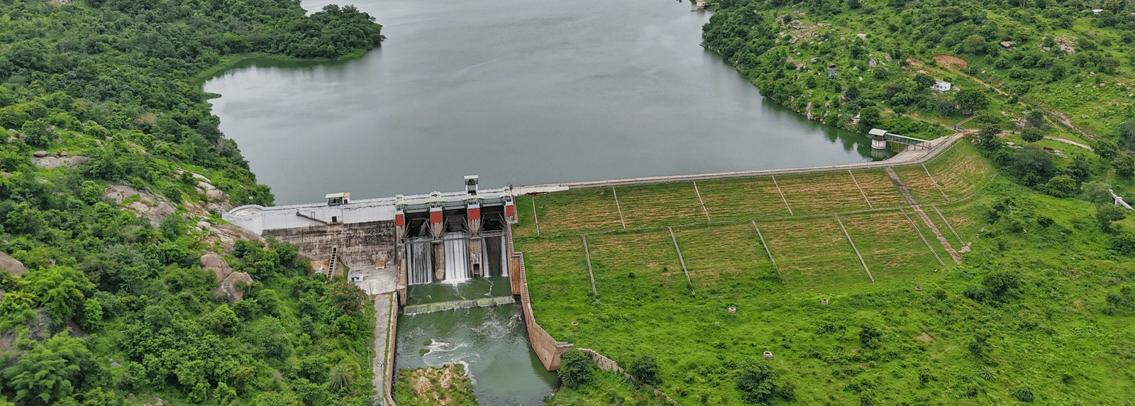 pexels-vishwanath-274848612-27644579