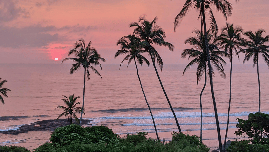 Sunset over lush greenery and tall palm trees by the coastline, casting a serene pink and purple sky over the ocean - Bengaluru to Goa Itinerary.