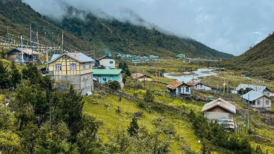 A lush green grassland with small colourful huts scattered around.
