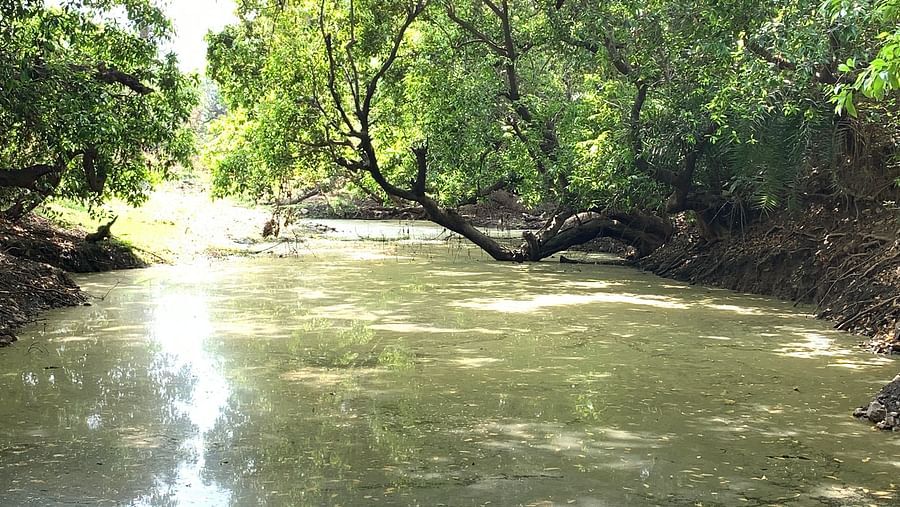 Surya Bagh - River