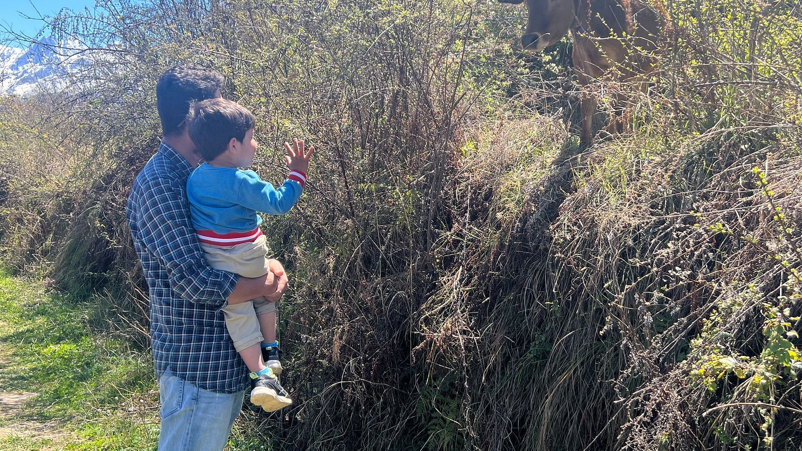 Side view of a man carrying a child looking at the plants in front of them | Faraway Cottages, Auli