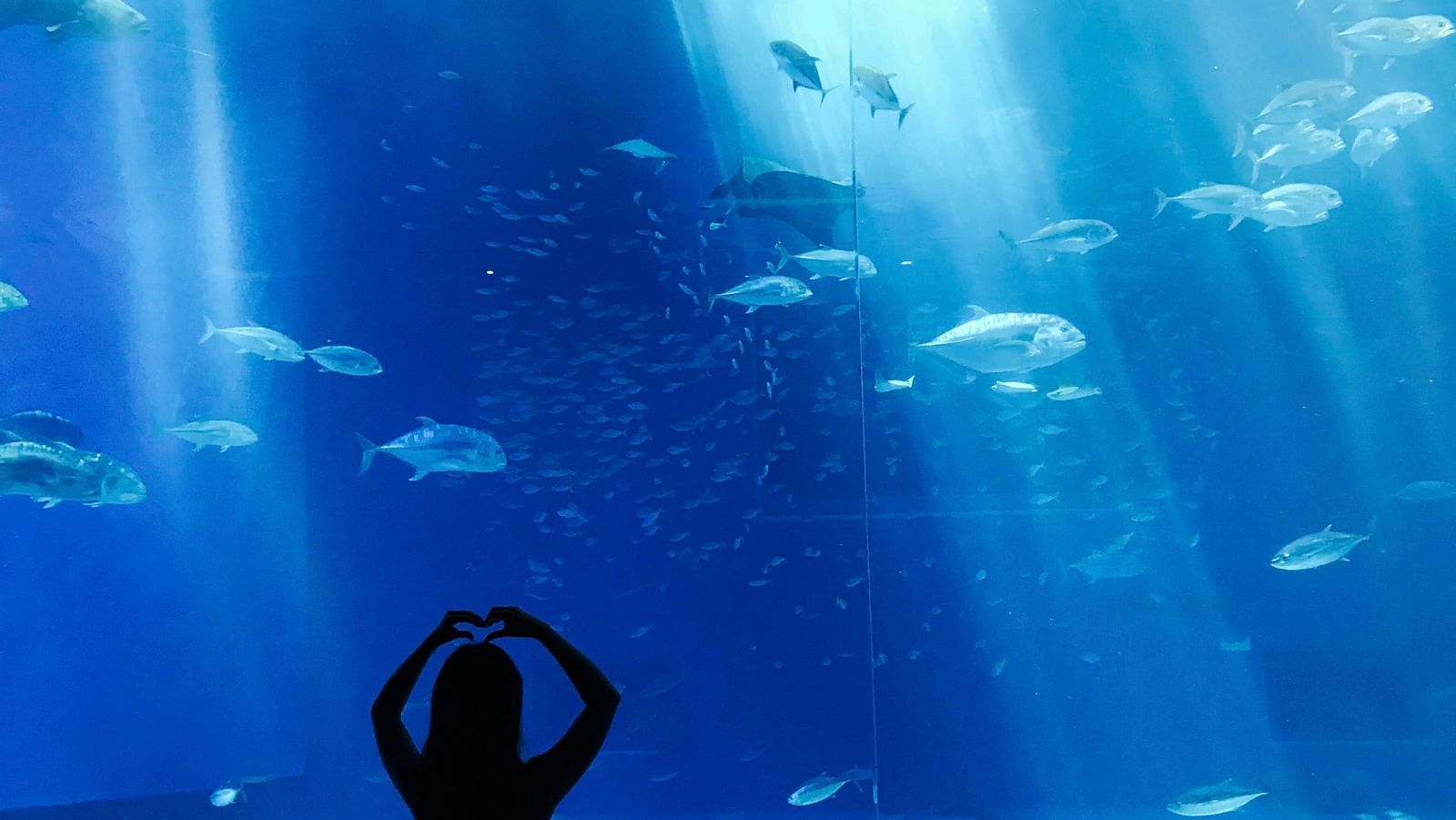 an image of a woman posing in the aquarium