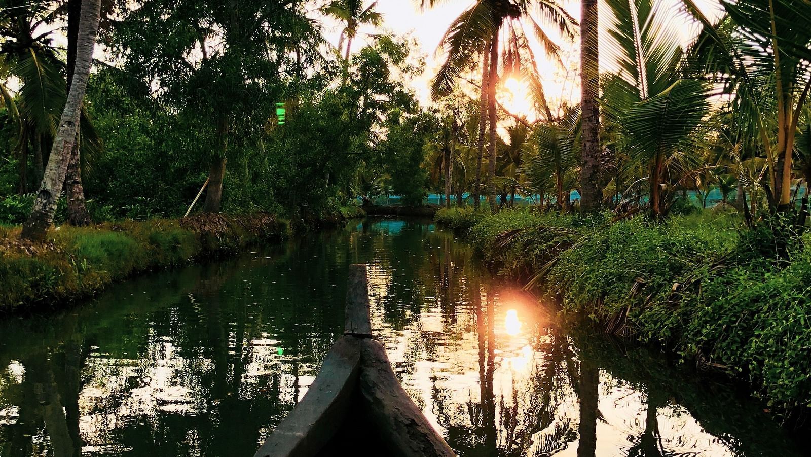 an image of the bow of a moving boat facing the river and coconut trees - Kumarakom Tourism