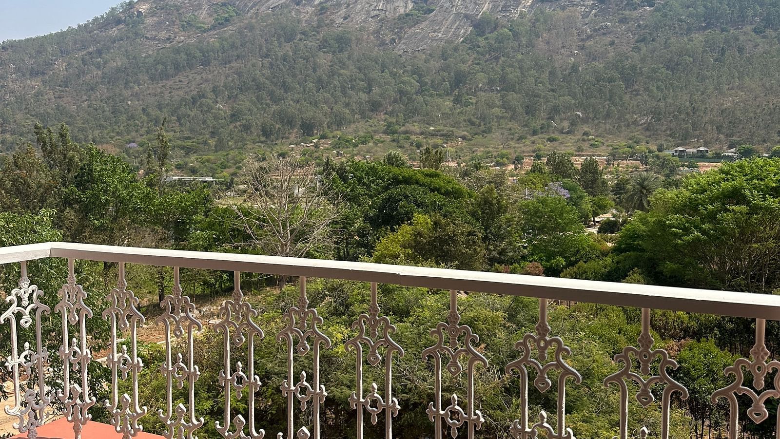 view from the balcony of the Heritage Suite at Summer House, Nandi Hills