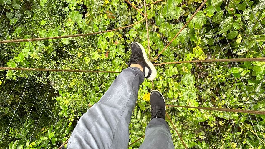 a person on a rope walkway with greening at the bottom - Holistic Stay Eco Resort, Kannur