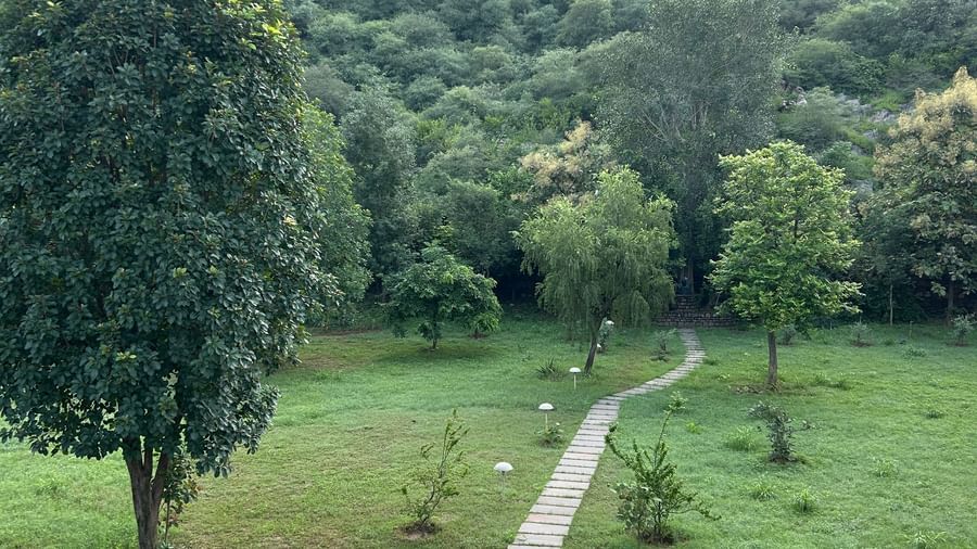 4-Landscape - Surya Bagh -1