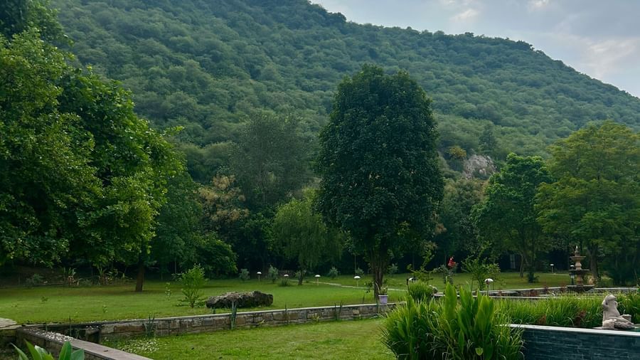 Landscape - Surya Bagh -1