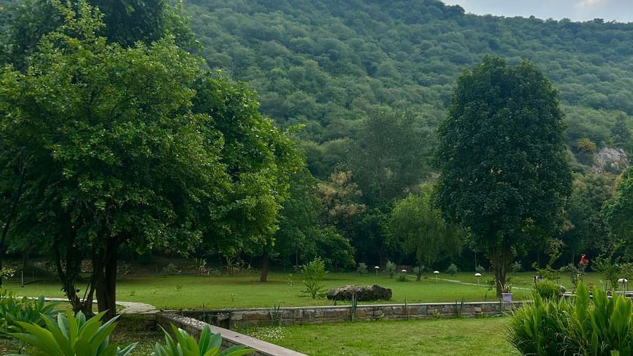 Landscape - Surya Bagh -3