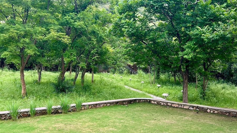 Surya Bagh - Landscape -11