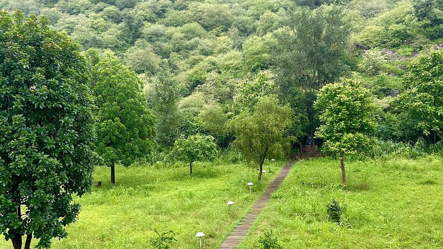 Surya Bagh - Landscape -17