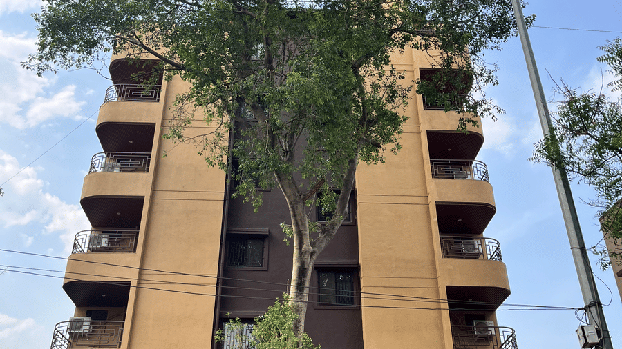 Facade view of the VITS Select Kharadi, Pune - A premium hotel in Kharadi, Pune, with a large tree in foreground and buildings and blue sky in background.