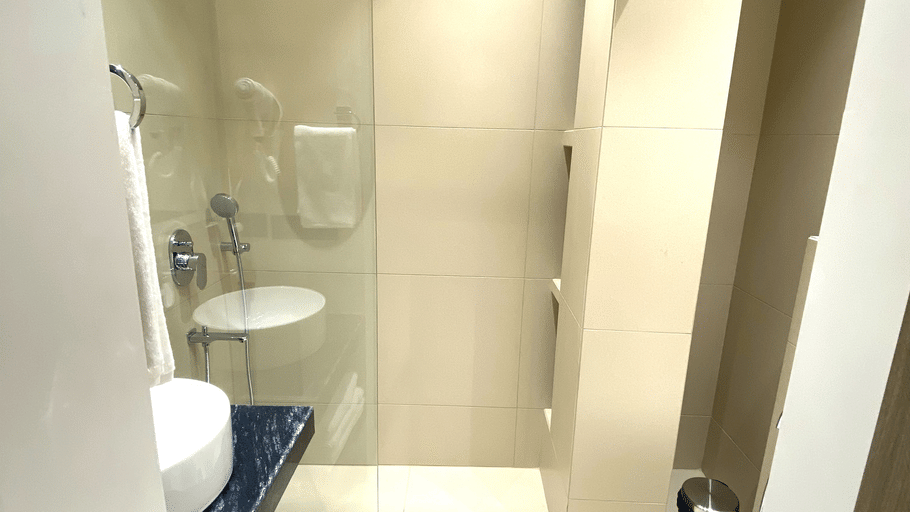 Executive Room Shower1.