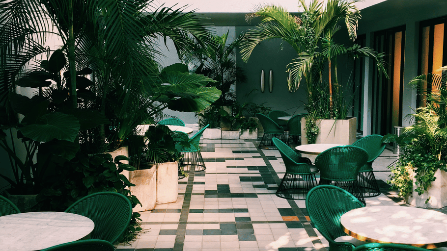 eddi-aguirre-ZAVHbpOn4Jk-unsplash