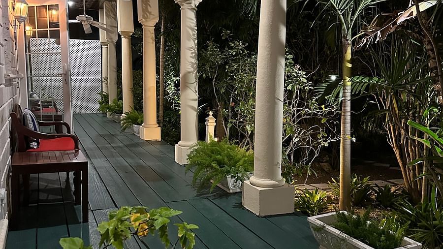 Green outdoor corridor with potted plants at night | A Stone's Throw Away