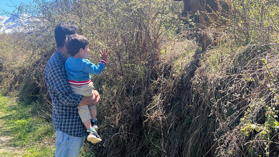 Side view of a man carrying a child looking at the plants in front of them | Faraway Cottages, Auli