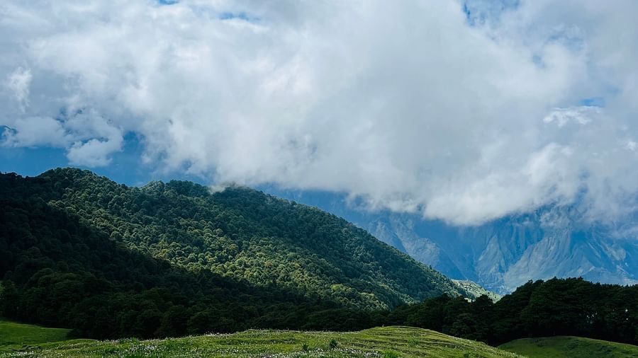 Image of a green valley at Garson Meadow | Faraway Cottages, Auli
