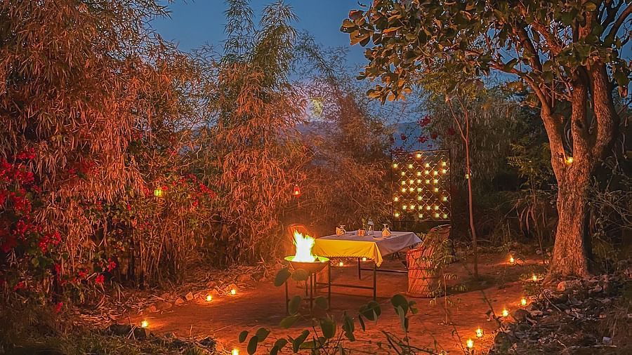 An image of an outdoor dining arrangement with bright lighting and greenery around - Utsav Camp Sariska
