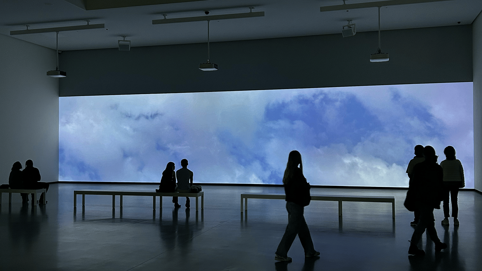 An immersive installation featuring people walking around a large screen with visuals
