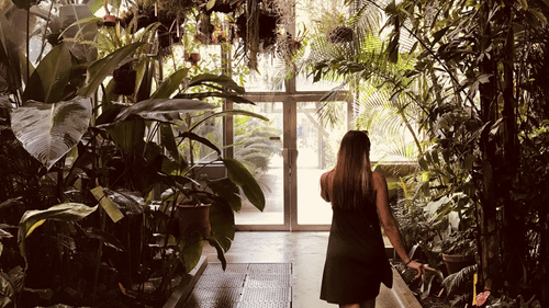 A woman walking through a botanical garden with potted plants placed beside her.