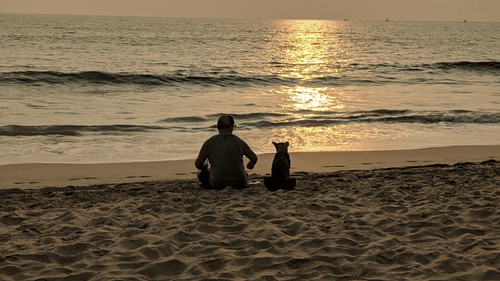 A man and a dog sitting on the sand and watching the sunset at Agonda Beach in goa