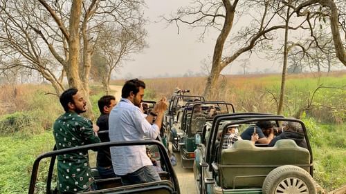 People going for forest safari in a jeep with trees in view at Gir national park