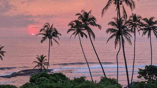 Sunset over lush greenery and tall palm trees by the coastline, casting a serene pink and purple sky over the ocean - Bengaluru to Goa Itinerary.