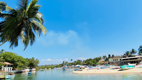 A view of Baga Beach in Calangute with pristine waters and coconut trees in view.