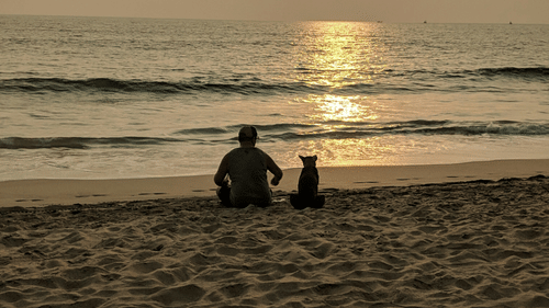 A man sitting with his dog on the shores of Agonda beach watching the sunset