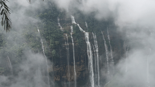 A waterfall in the middle of a forest at the Seven Sisters Fall in Cherrapunjee